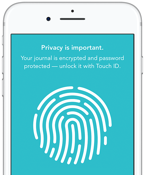 Privacy setup panel showing fingerprint.